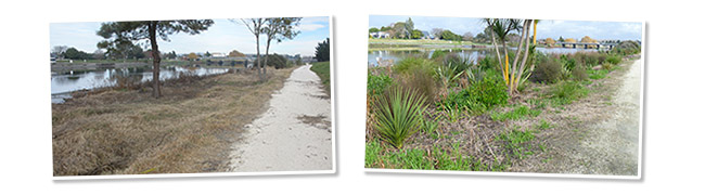 Clive River planting