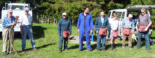 The Lindsay Bush Gang